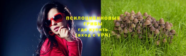 мескалин Алексеевка